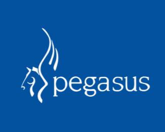 Pegasus Payroll Online Webinar