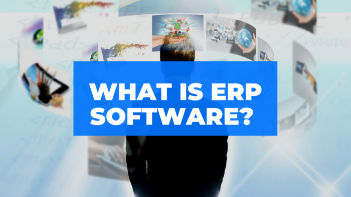 What is ERP Software?